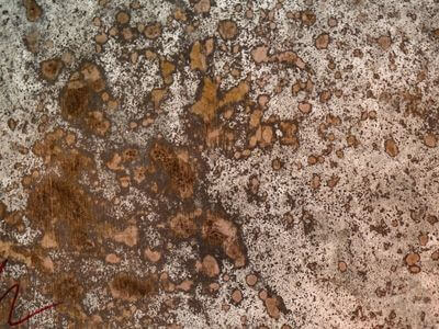 Professional water damage restoration services in Calgary - Best Restoration